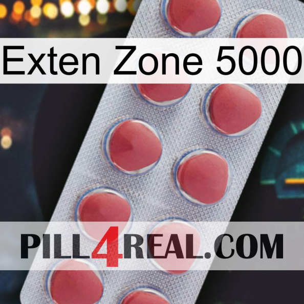 Exten Zone 5000 18.jpg